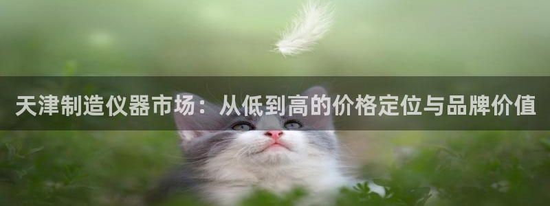 云顶国际会议中心：天津制造仪器市场：从低到高的价格定位与品牌