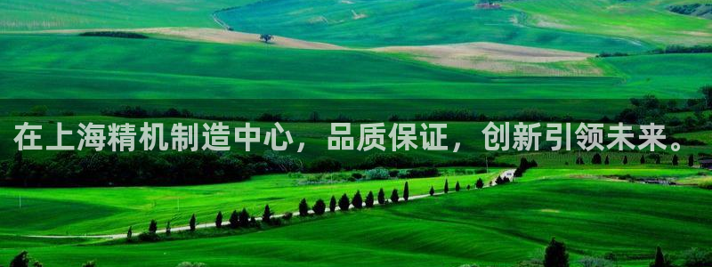 yd12300云顶线路(中国)有限公司：在上海精机制造中心，