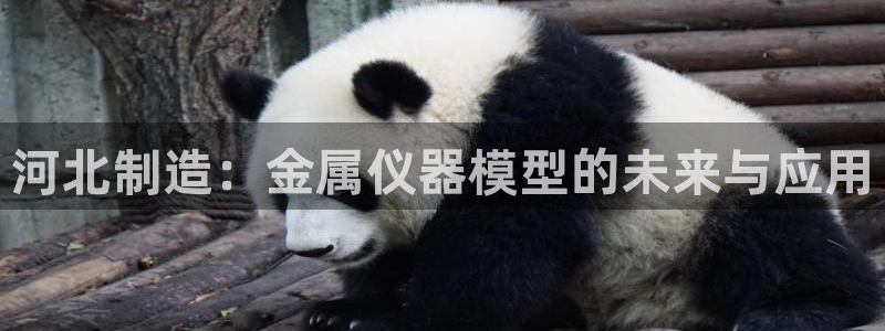 云顶国际网站2713366：河北制造：金属仪器模型的未来与应
