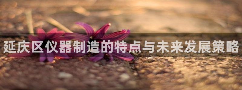 云顶集团网：延庆区仪器制造的特点与未来发展策略
