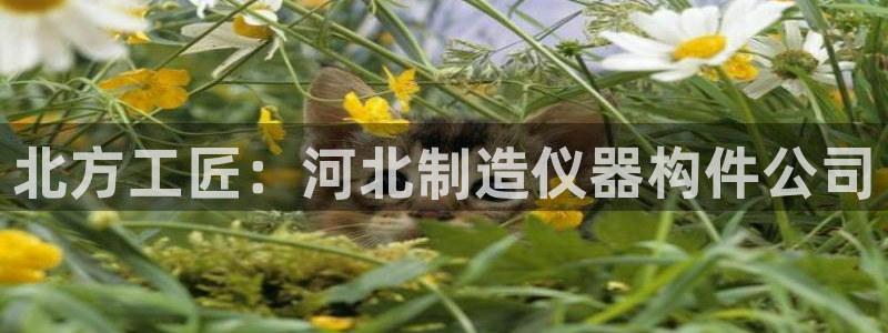 云顶国际app手机版：北方工匠：河北制造仪器构件公司