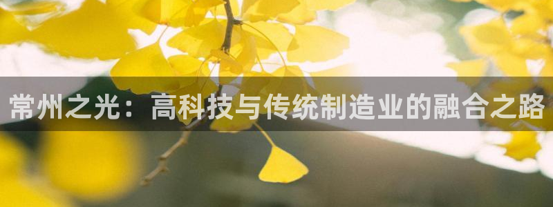 太原云顶国际酒店坐几路公交车：常州之光：高科技与传统制造业的