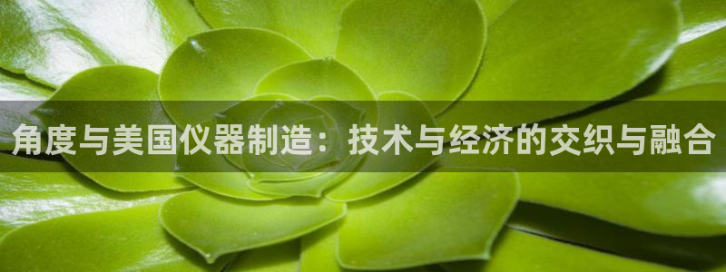 云顶最新套路2021：角度与美国仪器制造：技术与经济的交织与