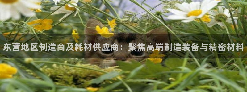 云顶国际版最新版苹果版