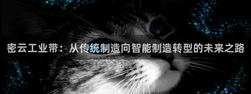 云顶国际app官方下载安卓：密云工业带：从传统制造向智能制造