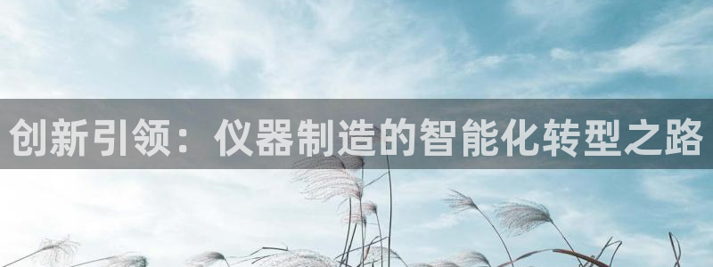 云顶国际牡丹会是什么：创新引领：仪器制造的智能化转型之路