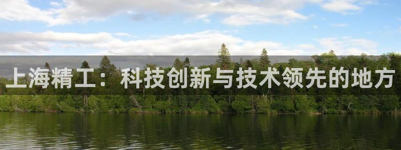云顶国际服手游：上海精工：科技创新与技术领先的地方