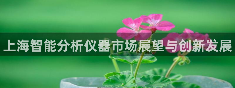云顶国际怎么才能提现：上海智能分析仪器市场展望与创新发展