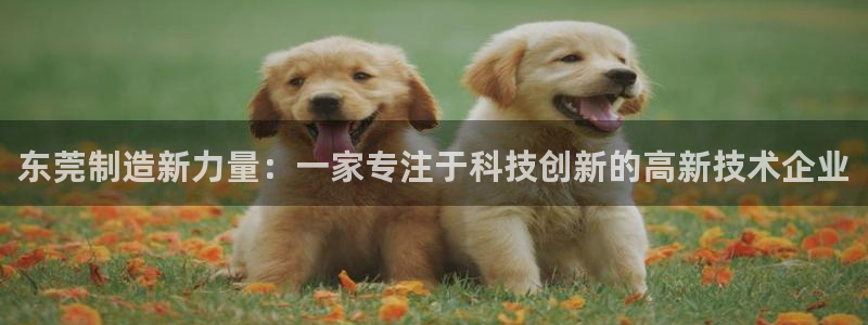 云顶集团网站app下载安装：东莞制造新力量：一家专注于科技创