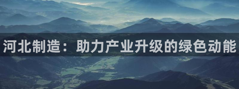 云顶手游国际服账号