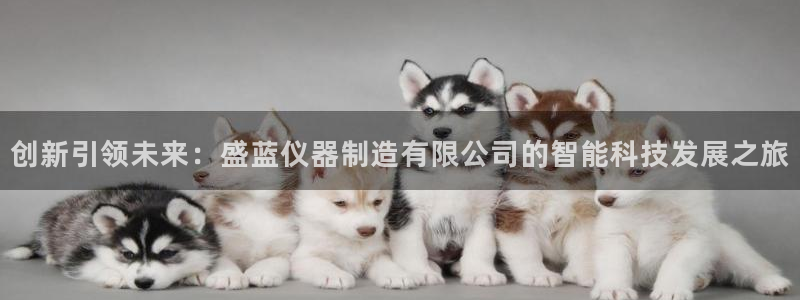 云顶国际是做什么的公司：创新引领未来：盛蓝仪器制造有限公司的