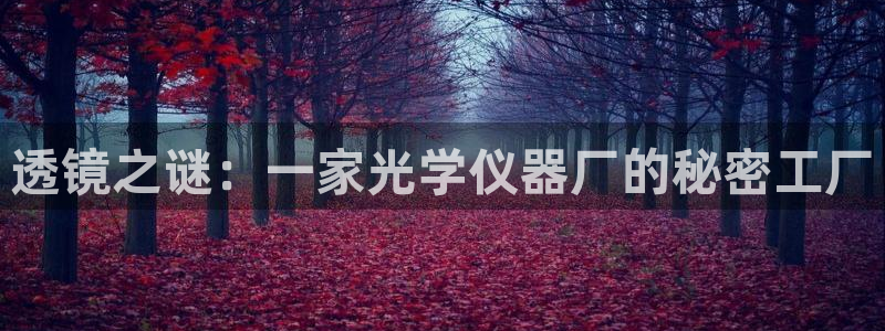 云顶集团rt电子游戏：透镜之谜：一家光学仪器厂的秘密工厂