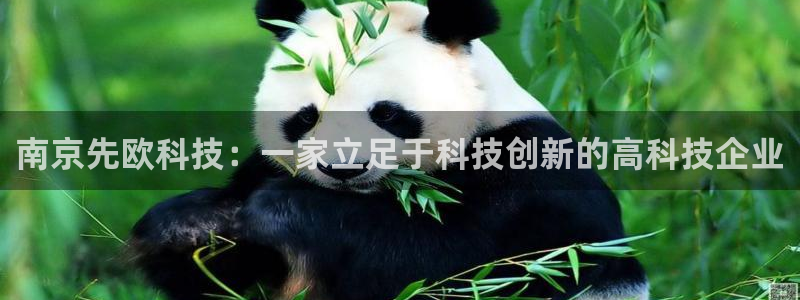 云顶国际钱取不出来了怎么办：南京先欧科技：一家立足于科技创新