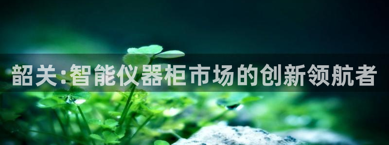 云顶集团公司简介图片：韶关:智能仪器柜市场的创新领航者
