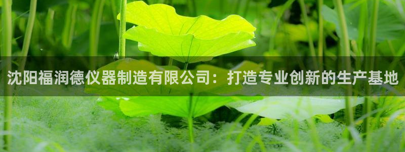 云顶国际大酒店招聘信息：沈阳福润德仪器制造有限公司：打造专业