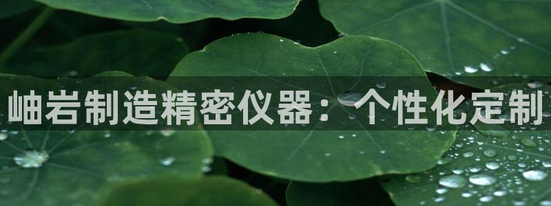 云顶国际--行业领导品牌：岫岩制造精密仪器：个性化定制