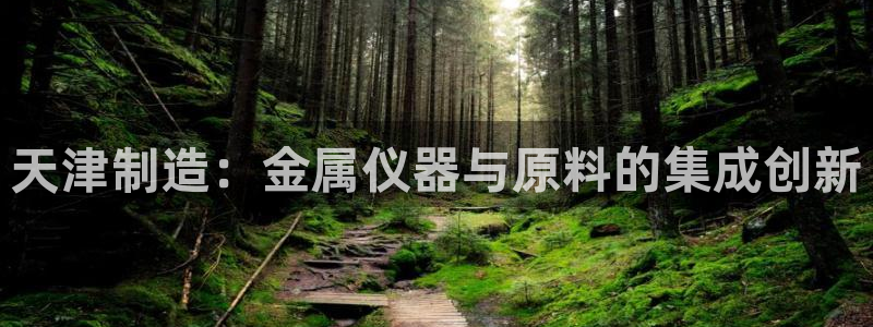 云顶集团 林：天津制造：金属仪器与原料的集成创新