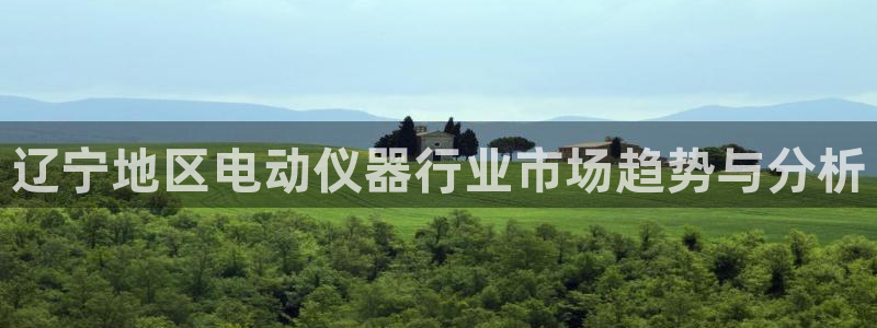 云顶国际是什么充值安全吗：辽宁地区电动仪器行业市场趋势与分析