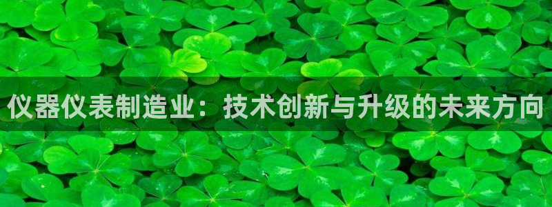 云顶国际网站怎么进不去了：仪器仪表制造业：技术创新与升级的未