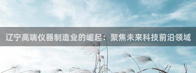 云顶国际投资有限公司招聘：辽宁高端仪器制造业的崛起：聚焦未来