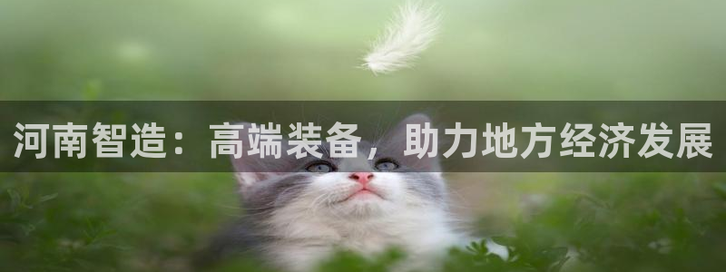 云顶国际旅行社电话：河南智造：高端装备，助力地方经济发展