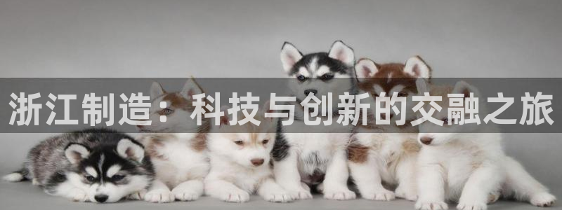 云顶国际官网app下载：浙江制造：科技与创新的交融之旅