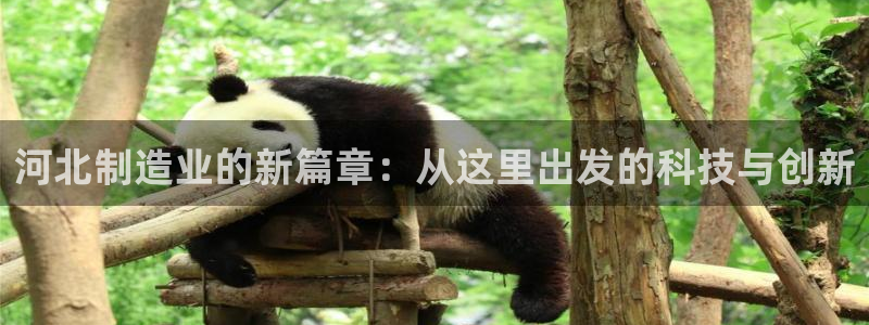 登录云顶集团app：河北制造业的新篇章：从这里出发的科技与创
