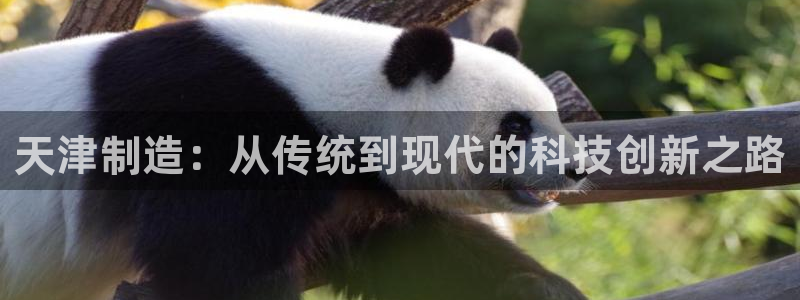 云顶国际集团：天津制造：从传统到现代的科技创新之路