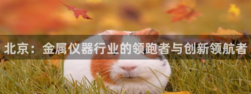 云顶集团公司简介图片：北京：金属仪器行业的领跑者与创新领航者