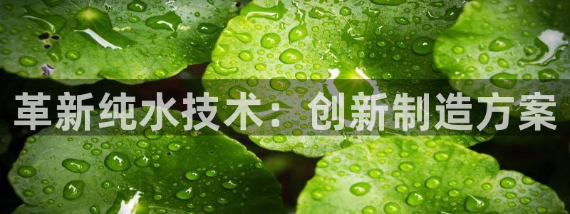 云顶集团官网登录入口下载：革新纯水技术：创新制造方案