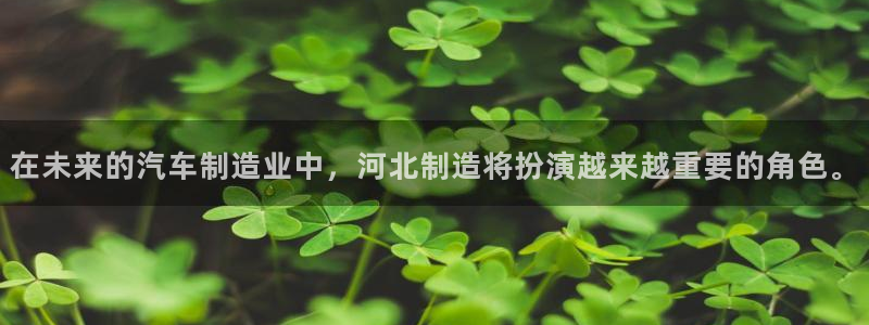 云顶国际高中学费多少：在未来的汽车制造业中，河北制造将扮演越