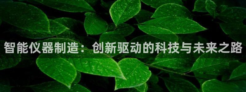 云顶国际app官网：智能仪器制造：创新驱动的科技与未来之路