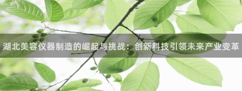 云顶线上赌博：湖北美容仪器制造的崛起与挑战：创新科技引领未来