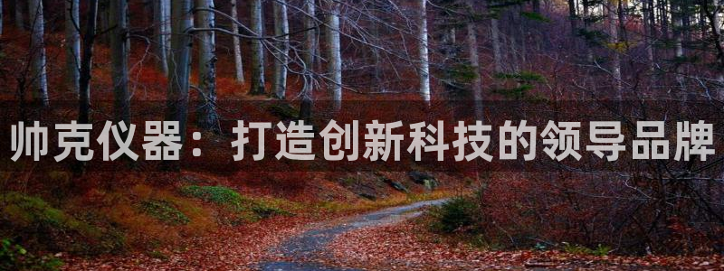 云顶国际是正规平台吗知乎：帅克仪器：打造创新科技的领导品牌