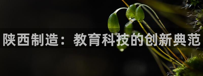 云顶国际app免费下载安装：陕西制造：教育科技的创新典范