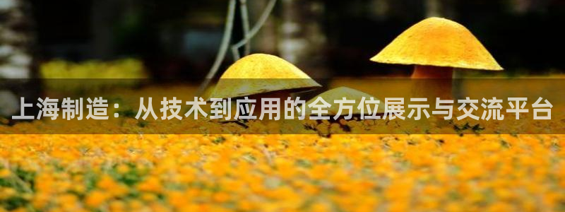 云顶yy：上海制造：从技术到应用的全方位展示与交流平台