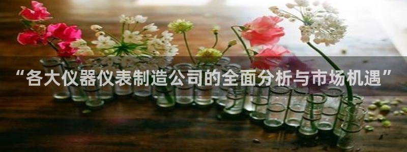 云顶国际在哪：“各大仪器仪表制造公司的全面分析与市场机遇”