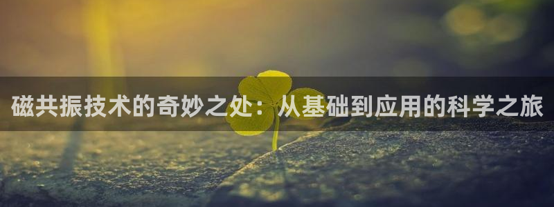 云顶国际大厦在什么地方：磁共振技术的奇妙之处：从基础到应用的