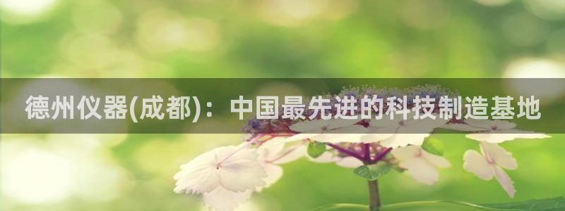 云顶国际服服务端错误：德州仪器(成都)：中国最先进的科技制造