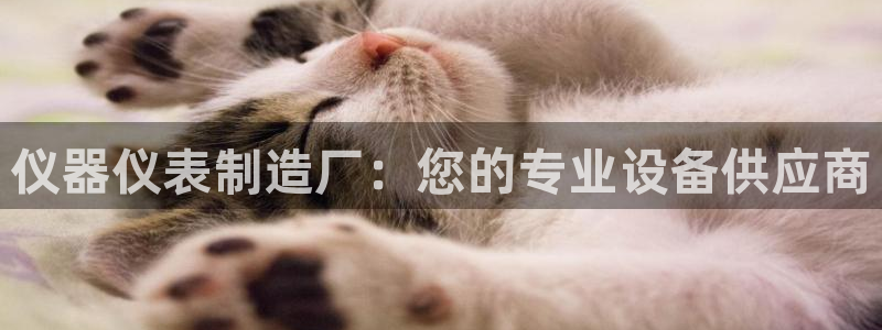 云顶国际app下载安卓：仪器仪表制造厂：您的专业设备供应商