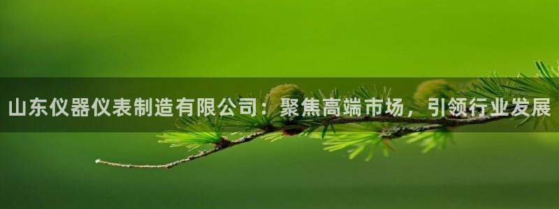 云顶国际4008服务平台：山东仪器仪表制造有限公司：聚焦高端
