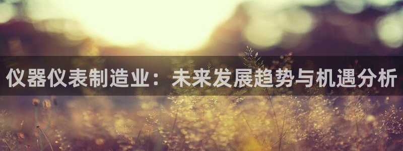云顶国际服加速器：仪器仪表制造业：未来发展趋势与机遇分析