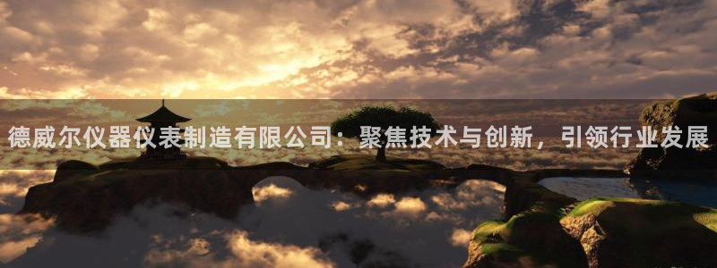 云顶国际足球app下载安卓：德威尔仪器仪表制造有限公司：聚焦