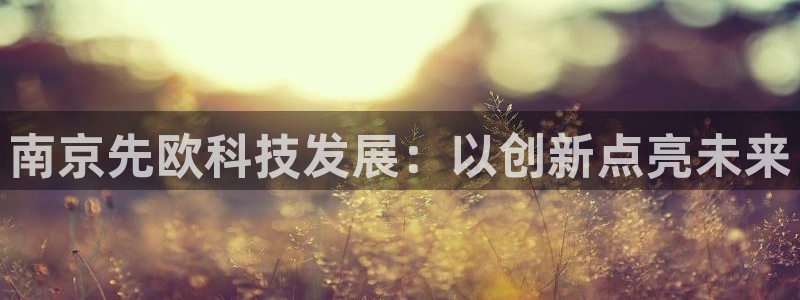 云顶集团公司简介图片：南京先欧科技发展：以创新点亮未来