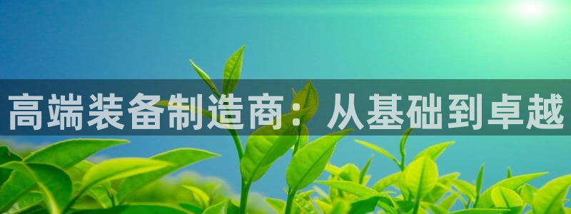 云顶国际是真实网站吗安全吗：高端装备制造商：从基础到卓越