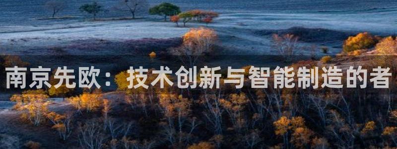云顶集团官网登录入口下载：南京先欧：技术创新与智能制造的者