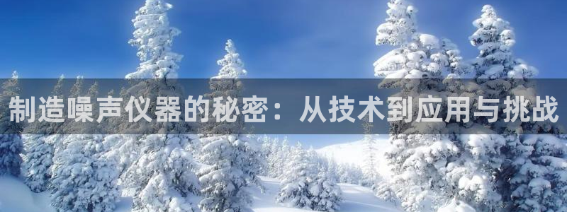 云顶国际测试服怎么进：制造噪声仪器的秘密：从技术到应用与挑战