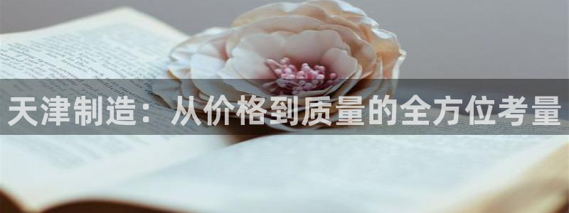 云顶pc：天津制造：从价格到质量的全方位考量