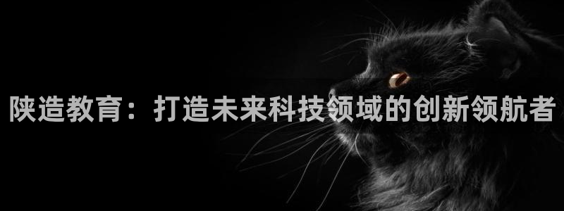 云顶集团招聘是真的吗：陕造教育：打造未来科技领域的创新领航者