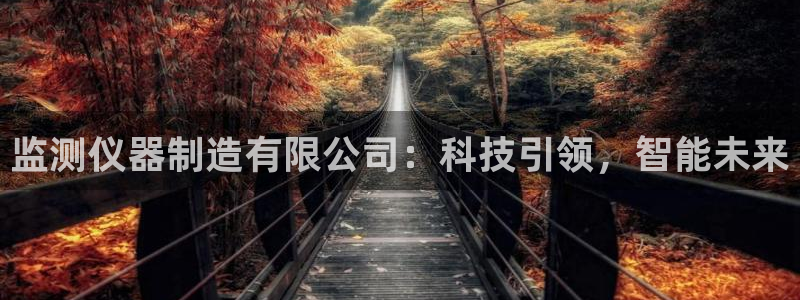 云顶国际线上平台：监测仪器制造有限公司：科技引领，智能未来